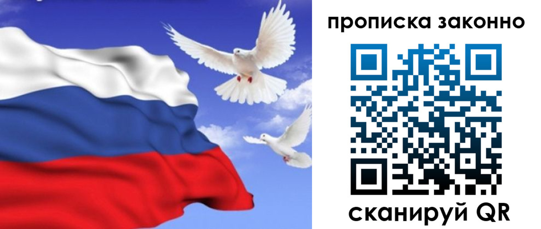 прописка в Струнино